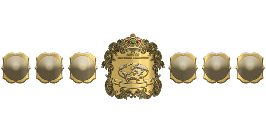 ZBCB-19 Custom Design Championship Belt