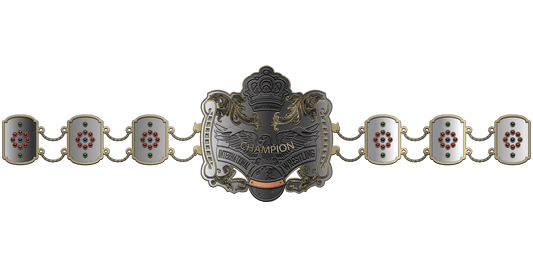 ZBCB-20 Custom Design Championship Belt
