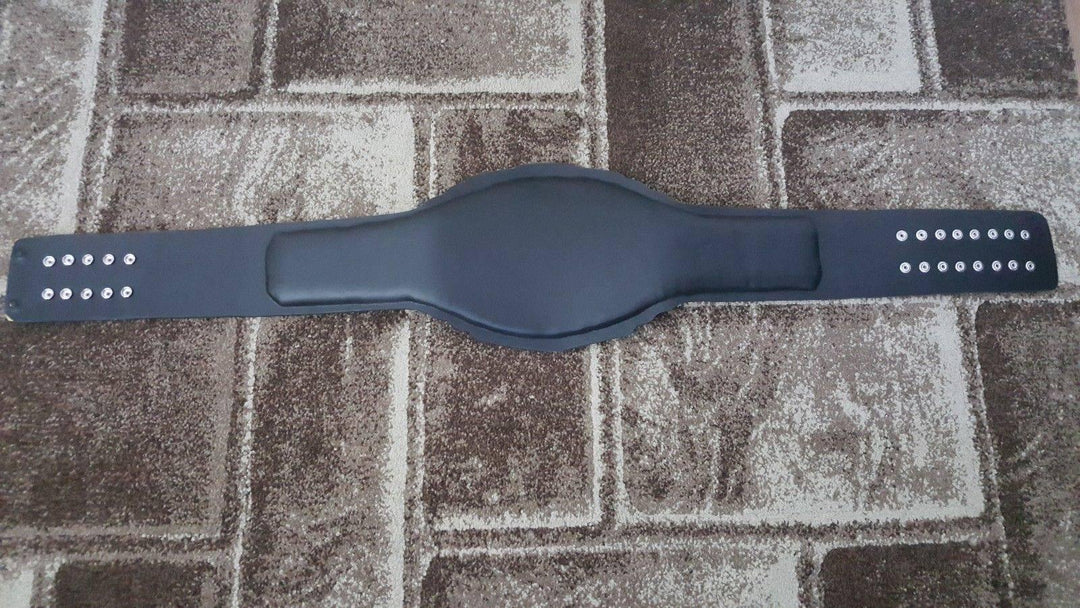 WWE United States Heavyweight Brass Championship Title Belt
