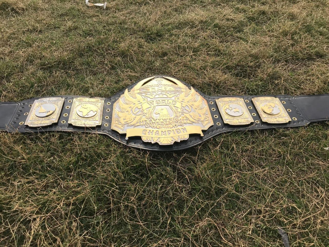 TNA World Heavyweight Wrestling Championship Belt