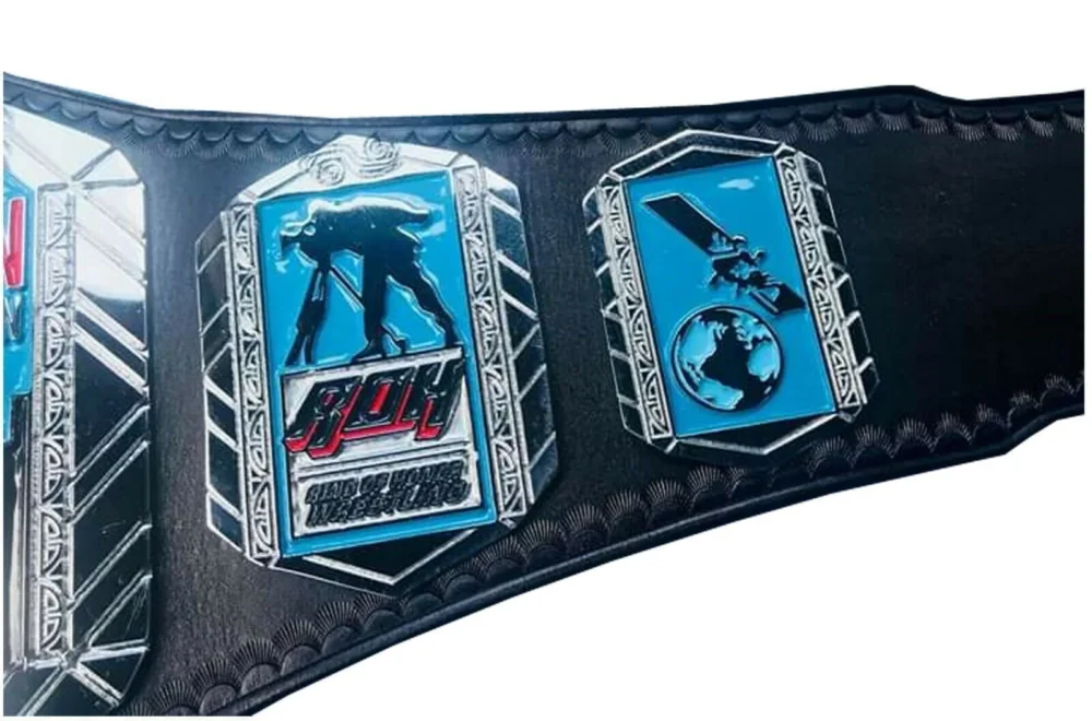 ROH World Television Wrestling Championship Replica Title Belt - Image 4