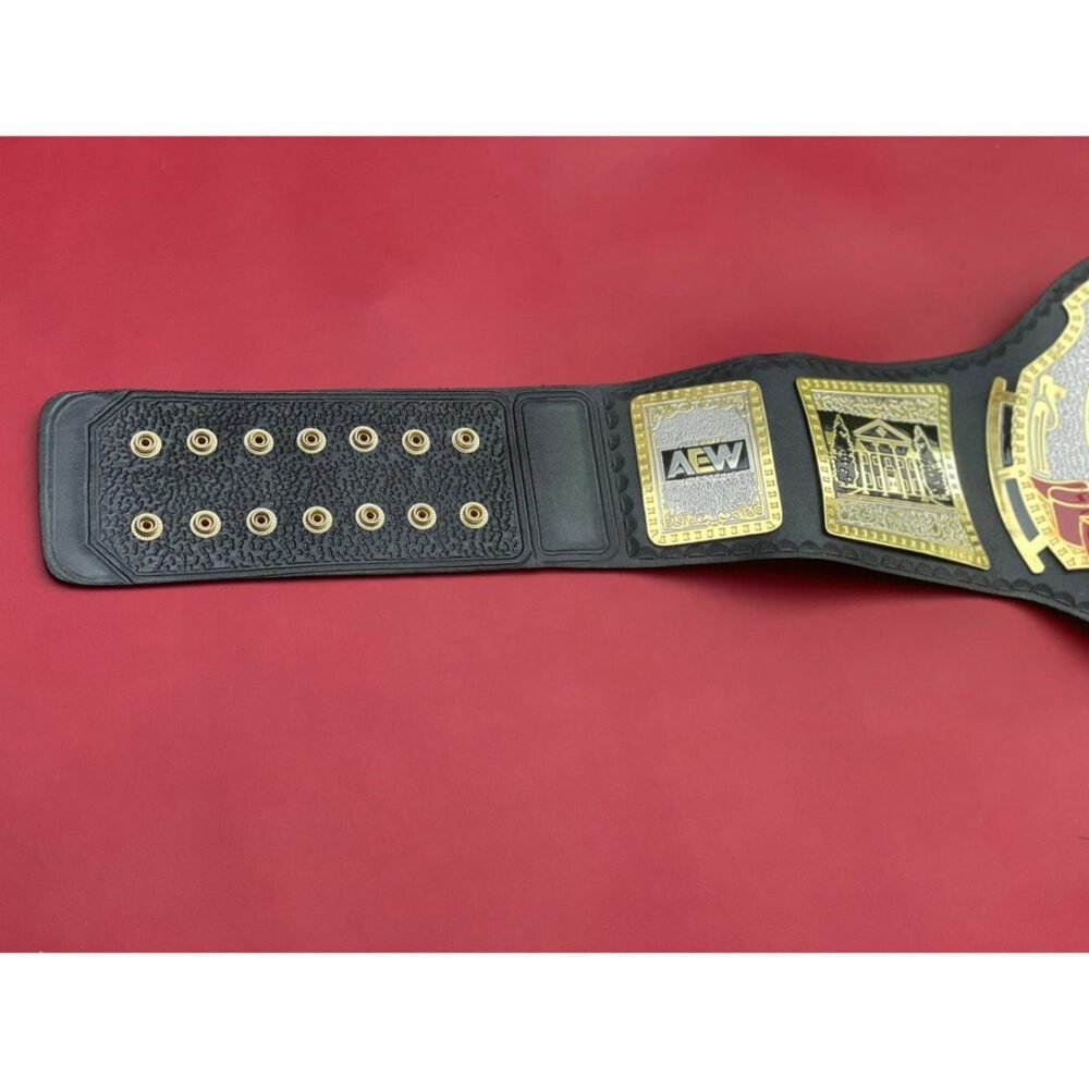 AEW TNT Championship Replica Belt - Image 4