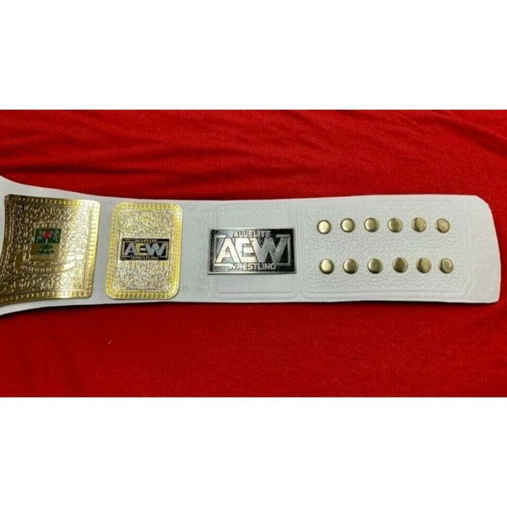 AEW TNT Championship Replica Title Belt - Image 4