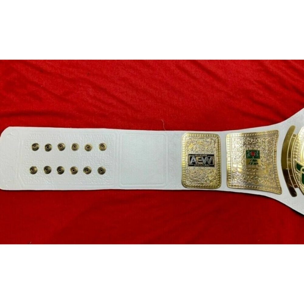 AEW TNT Championship Replica Title Belt - Image 3