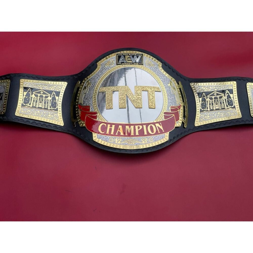 AEW TNT Championship Replica Title Belt - Image 9