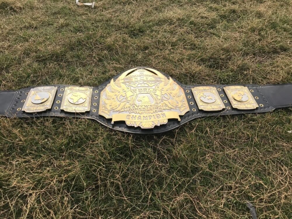 TNA HEAVYWEIGHT 24K GOLD Championship Belt - Image 8