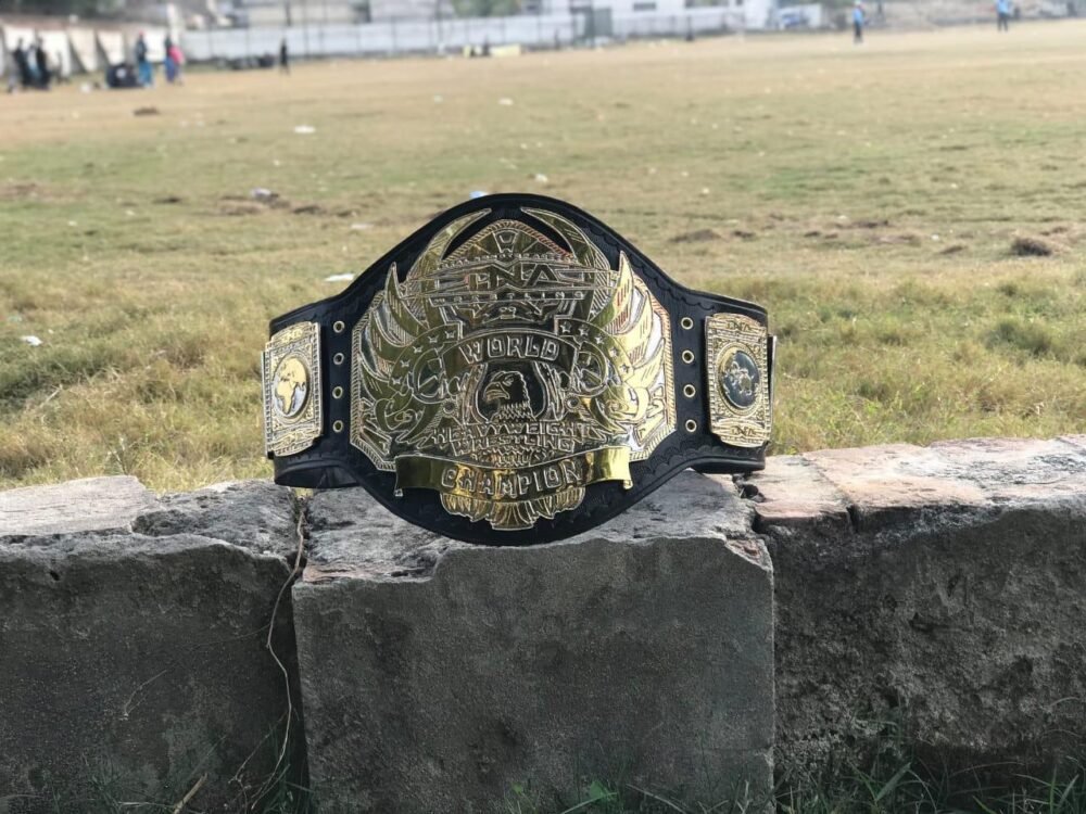 TNA HEAVYWEIGHT 24K GOLD Championship Belt - Image 6