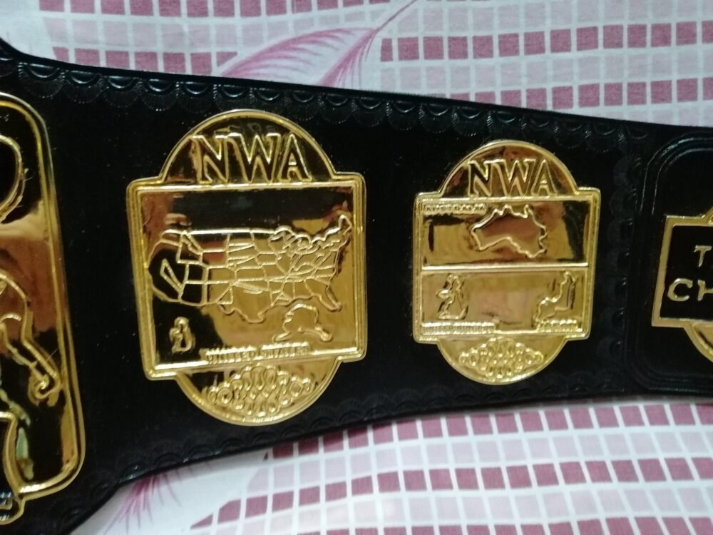 NWA WORLD TAG TEAM GOLD Wrestling Championship Belt - Image 10