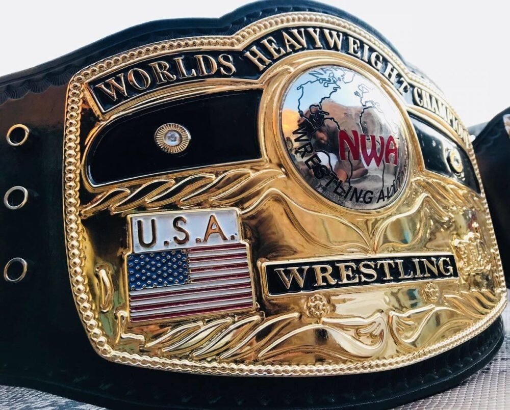 NWA DOMED GLOBE HEAVYWEIGHT Championship Belt - Image 2