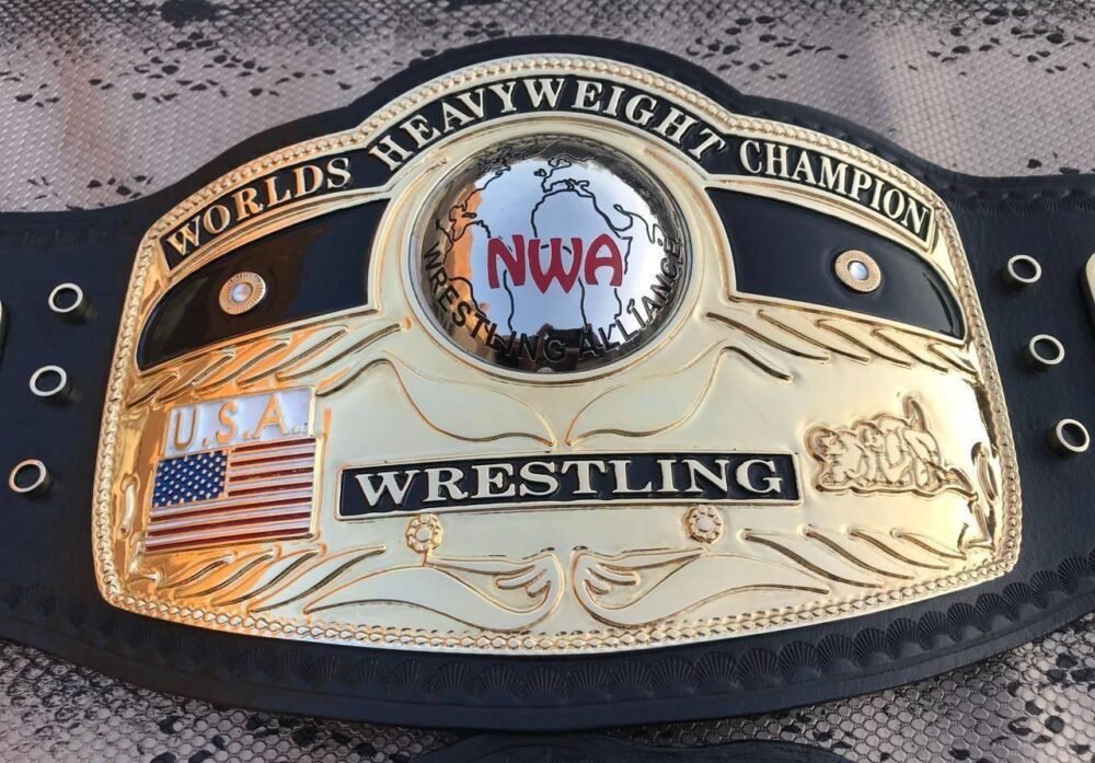 NWA DOMED GLOBE HEAVYWEIGHT Championship Belt - Image 3