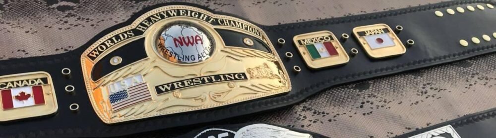 NWA DOMED GLOBE HEAVYWEIGHT Championship Belt - Image 5