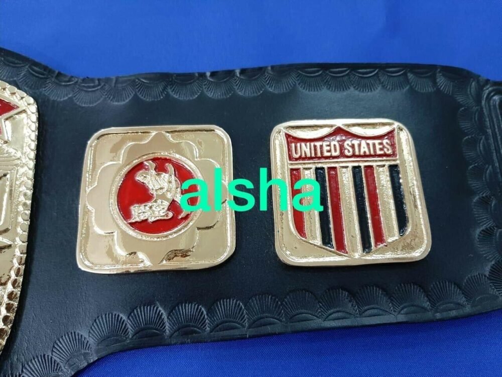 NWA US TAG TEAM Championship Belt - Image 4