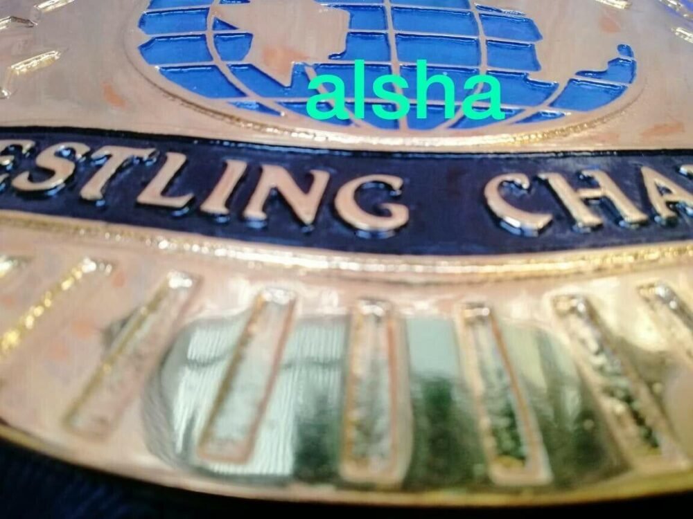 WCW HEAVYWEIGHT Championship Belt - Image 2