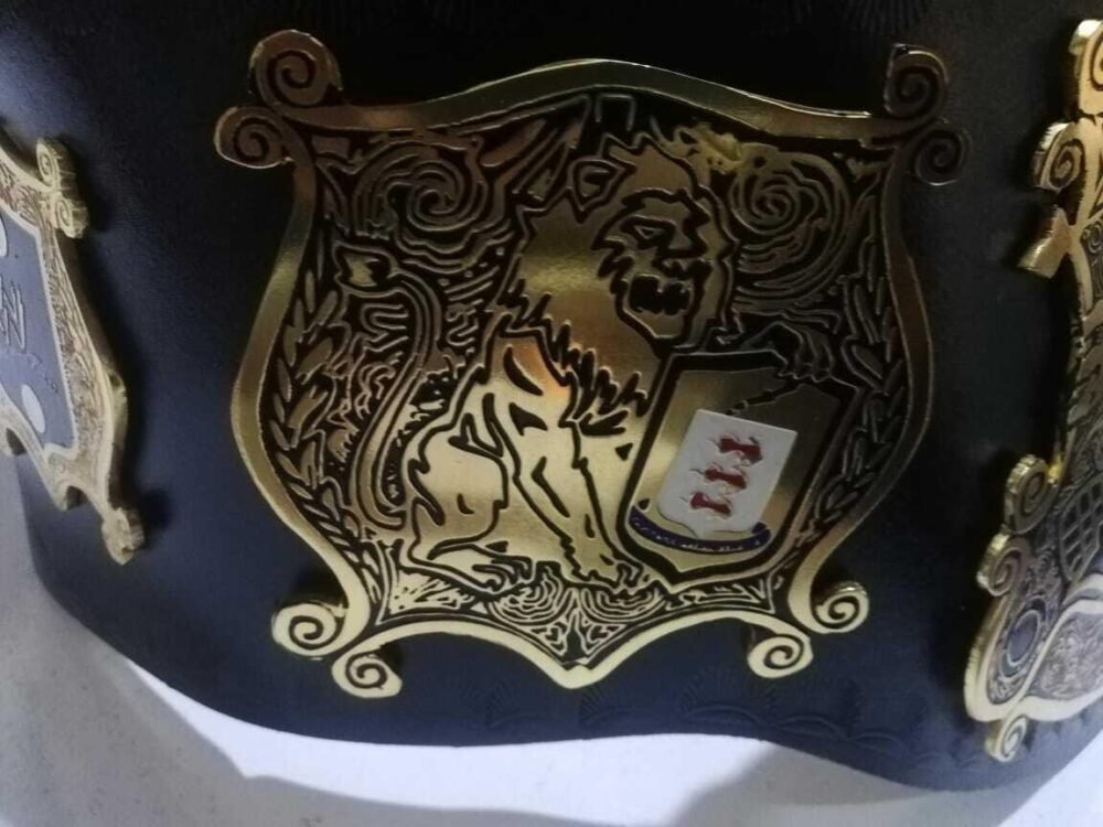 WWE UNDISPUTED Brass Championship Belt - Image 3